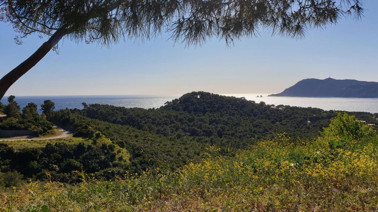 Appartement Moderne De 54 M, 2 Chambres La Seyne-sur-Mer Kültér fotó